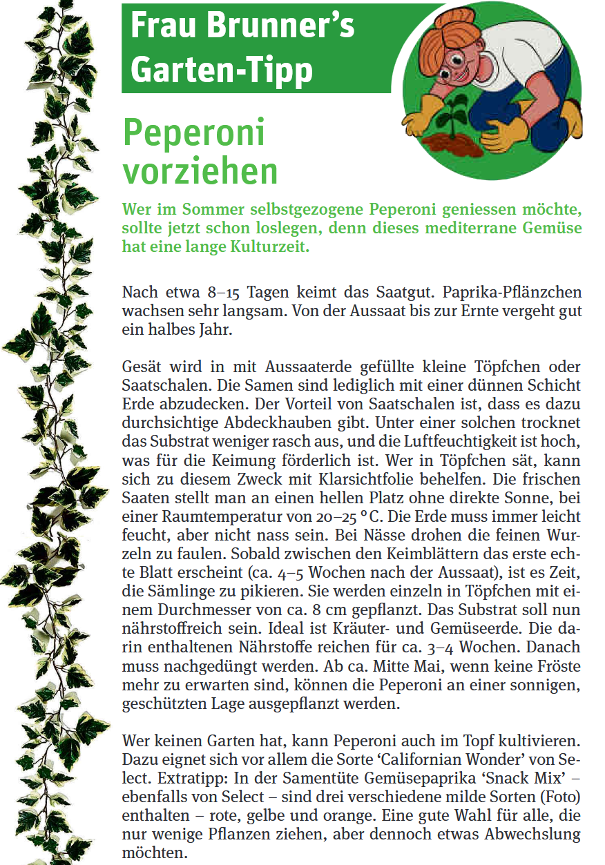 Frau Brunner 20250221